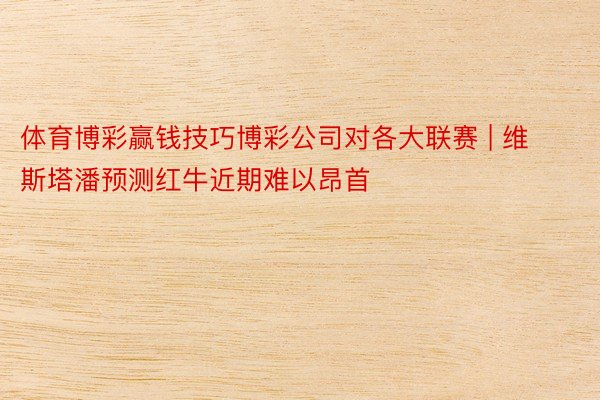 体育博彩赢钱技巧博彩公司对各大联赛 | 维斯塔潘预测红牛近期难以昂首