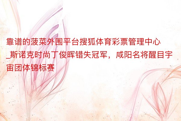 靠谱的菠菜外围平台搜狐体育彩票管理中心_斯诺克时尚丁俊晖错失冠军，咸阳名将醒目宇宙团体锦标赛