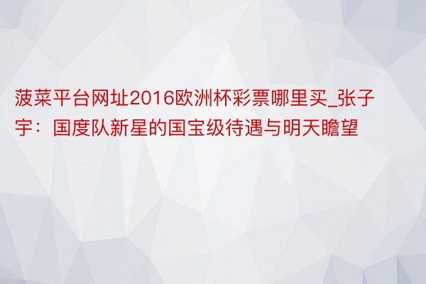 菠菜平台网址2016欧洲杯彩票哪里买_张子宇：国度队新星的国宝级待遇与明天瞻望
