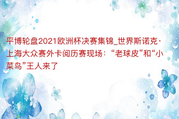 平博轮盘2021欧洲杯决赛集锦_世界斯诺克·上海大众赛外卡阅历赛现场：“老球皮”和“小菜鸟”王人来了