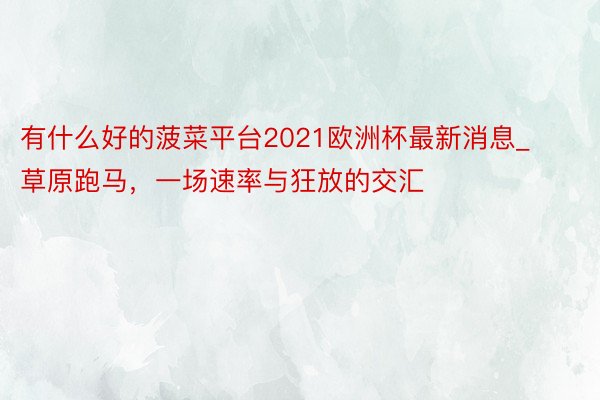 有什么好的菠菜平台2021欧洲杯最新消息_草原跑马，一场速率与狂放的交汇